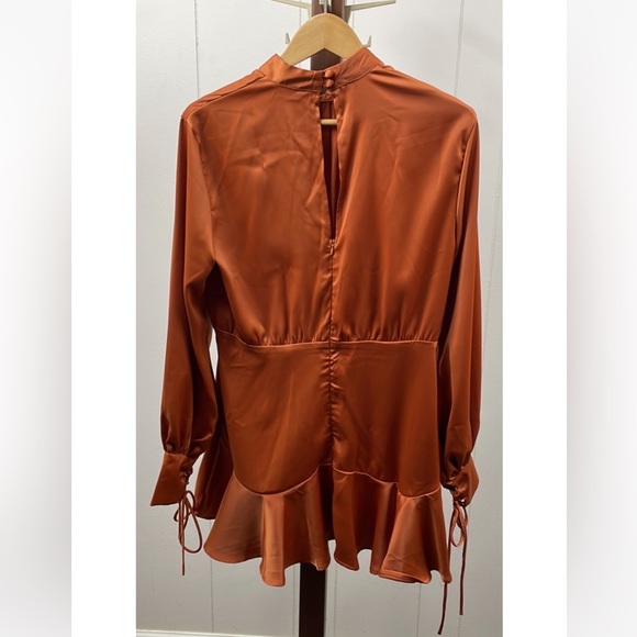 Petal & Pup NWT Rust Orange Satin Torena Dress - Picture 6 of 7